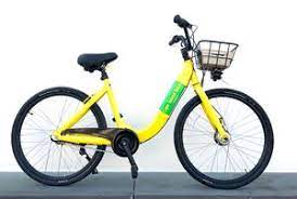 Things To Do Cape Island Bikes